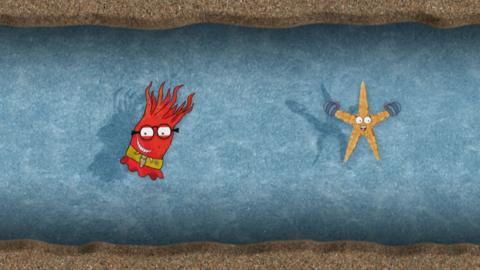 Sally the starfish and Andrew the anemone from Old Jack's Boat: Rockpool Tales in a sandy tunnel.