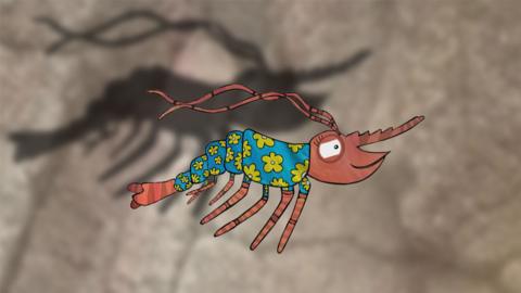 Sheena the shrimp from Old Jack's Boat: Rockpool Tales in front of her shadow.