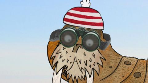 A walrus from Old Jack's Boat: Rockpool Tales looking through binoculars.