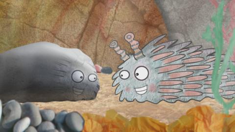 A grey sea slug from Old Jack's Boat: Rockpool Tales smiling at his reflection.