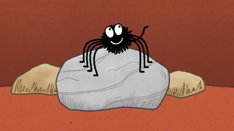The Spider Song