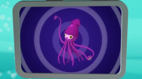 colossal squid