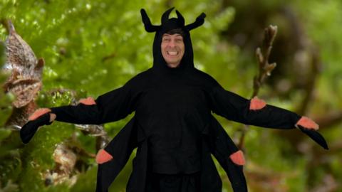 Do the spidery bounce!