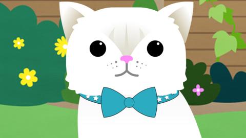 George wearing a blue collar with stars on and a blue bow tie.