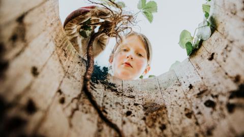 A child peers into the interior of a plant pot, dropping soil down onto the viewer's perspective.