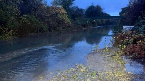 A flooded patch of railway showing submerged vegetation