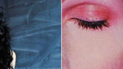 Zoomed-in images taken from two iconic albums