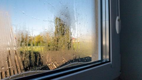 Condensation on windows with garden in background