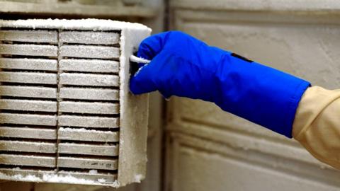 A lab worker pulling out frozen samples from a fridge