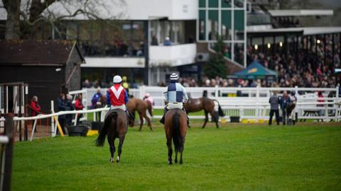 Two jockeys riding horses on a race track with their backs to the camera. There is a crowd in front of them.