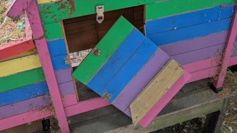 A chicken coop with its door broken off. The timbers are painted in the colours of the rainbow.