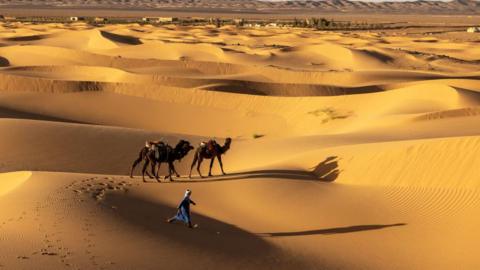 The Sahara desert is seen in a sweeping landscape photograph