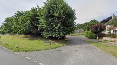 A Google Map image of a road. There are green trees and grass on either side of the road, and houses on the right. 