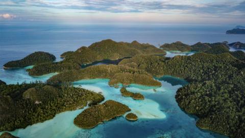 An aerial photograph of a group of small, forested islands in turquoise blue seas. This is a view of a small section of hundreds of islands that make up the The Raja Ampat archipelago - a group of small islands in the country's Southwest Papua Province is sometimes referred to as the "Amazon of the Seas".