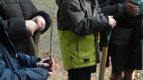 A focus on children's hands. One is holding a sapling and two others are holding garden spades.