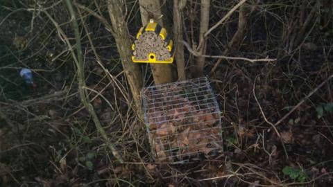 A yellow and black bee hotel box and a cage with wood and leaves in it attached to a tree.