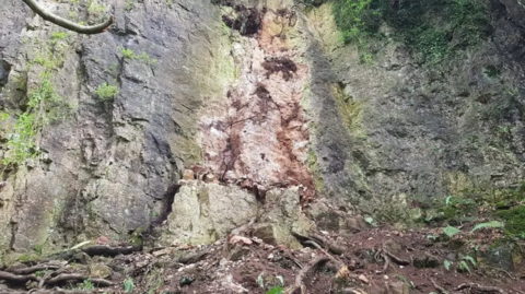 Remnants of a large rock fall from a cliff. The grey face of the cliff has lots of brown strakes in its surface, showing where material has fallen. Below, many tree roots can be seen.