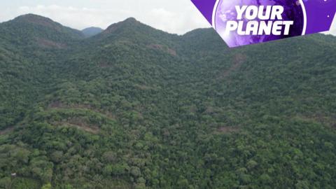 A forest and the Your Planet logo