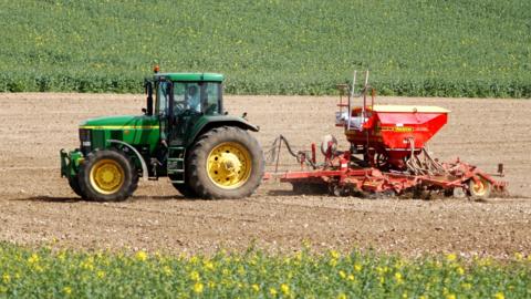 A green tractor pulling a red combine harvester in a field. In the background are green crops with yellow flowers