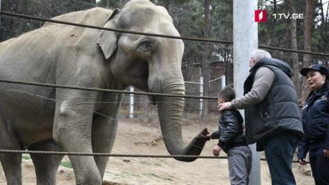 Dato feeding an elephant