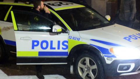 Swedish policeman (file pic)