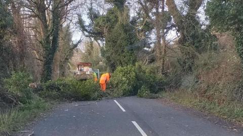 A person wearing high-vis works to remove a fallen tree which is blocking the road.