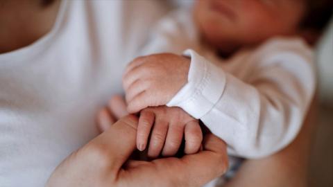 File image of a baby holding an adult's hand