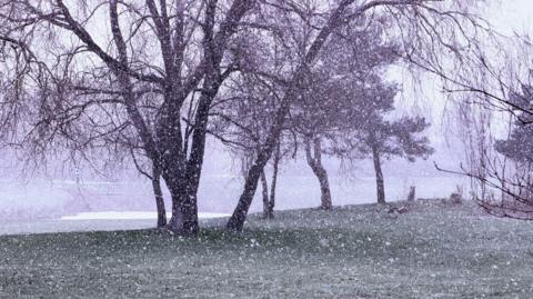 Snow falls by a lake closed to some trees over a green bank in Warrington on a grey day.