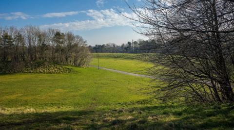 A picture of a Albany park showing lots of grass and paths 