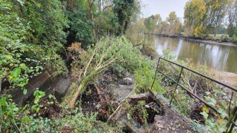 A collapsed section of the Thames Path shows trees lying on their sides and a railing attached to a broken path.