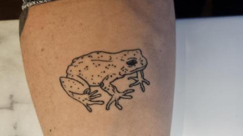 The dotted toad tattoo on the inside of Milly Kennedy's forearm.