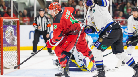 Cardiff Devils' Cedric Lacroix in action against Manchester Storm