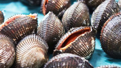 A close-up of cockle shells. They are black, white and are covered in ridges.
© Getty Images