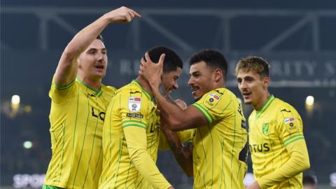 Norwich celebrate Gabriel Sara's goal