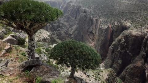 Socotra valley