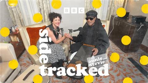 Sidetracked with Stevie Wonder