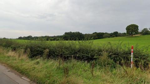 A long hedge is in the foreground of the image, with a large green field behind that, from left to right on the photo. Trees are in the background.