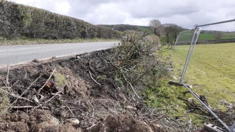 A ditch that has opened up beside a rural road. A hedge lines the other side. Metal gates have been put up around the ditch.