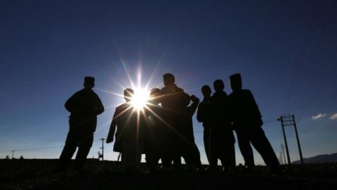 Afghan migrants in Herat province