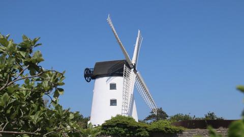 A white windmill with a black roof is surrounded by green bushes and a bright blue sky