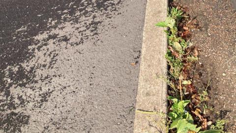 A grey pavement meets the side of the road. Overgrown weeds have grown in the gutter.