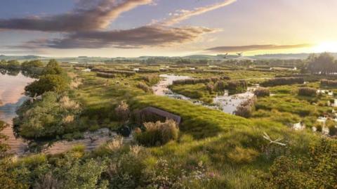 A digital image of the vision for the Eelscapes project showing flowers and wildlife around pools of water and grassy banks next to the river.
