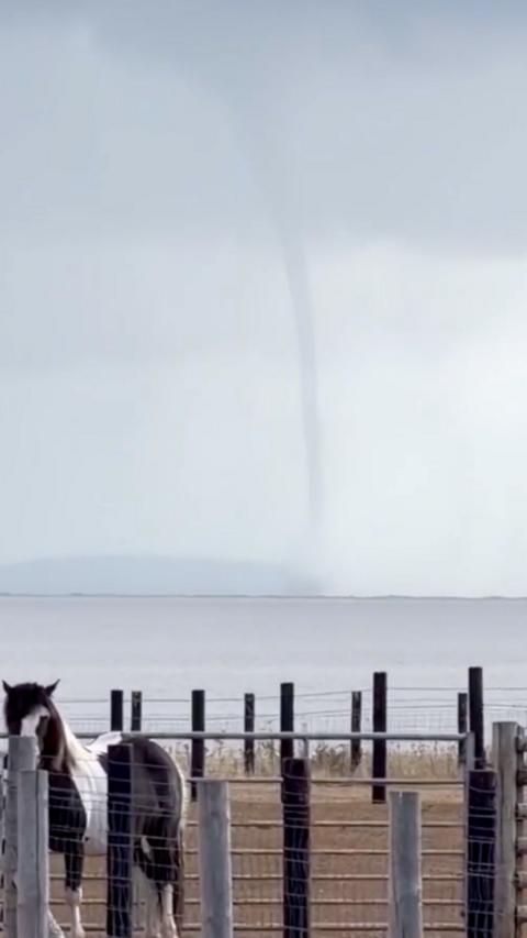 A waterspout over a body of water seen in the distance, stretching up to the sky. In the foreground, a horse is facing the camera in a paddock