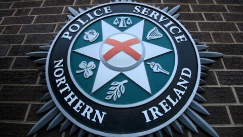 The PSNI emblem on a brick wall. It features a torch, a leaf, a shamrock, a crown, scales and a harp. 