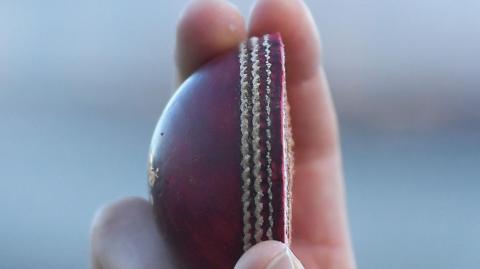 The halved cricket ball