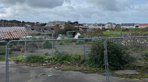 The view of the brownfield site from being a steel fence. There are empty buildings, and trees which have grown through the concrete ground.