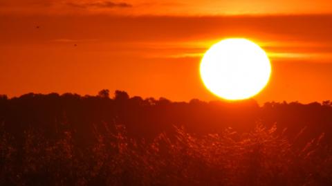 The sun has just risen above the horizon and glows bright orange across the landscape illuminating bushes in the foreground