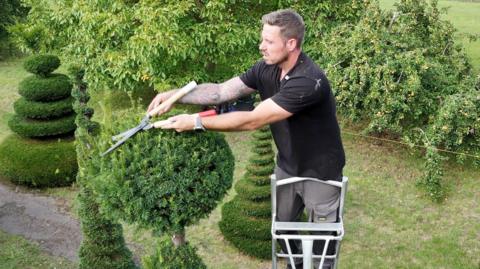 Andy is at the top of a ladder using hand sheers to trim the top of a tree