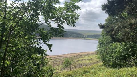 A picturesque reservoir pictured from between two large trees. A grass bank leads onto the water. More trees and grassland can be seen in the far distance.