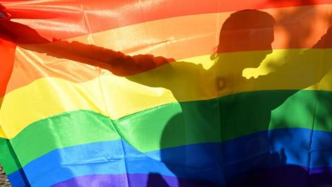 A rainbow flag during a Gay Parade in Kiev on May 25, 2013